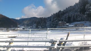 DSC_0082.JPG